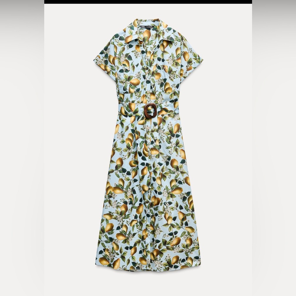 Zara fruit print midi dress